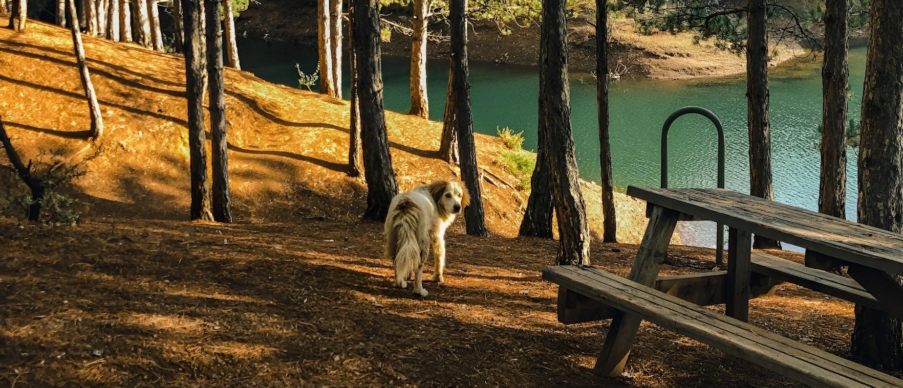 5 percorsi sui Monti Ernici per passeggiate indimenticabili con il tuo cane